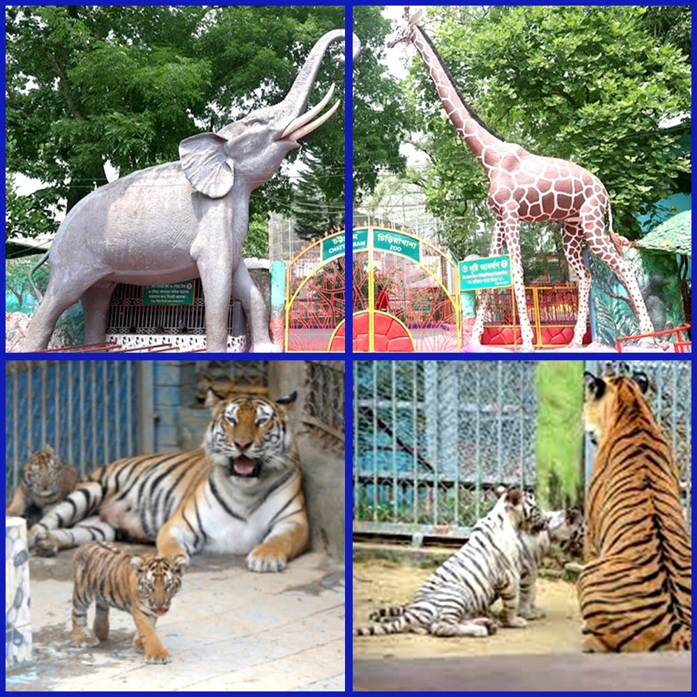 CHITTAGONG ZOO. (GOV. JILLAPORISHAD PROJECT